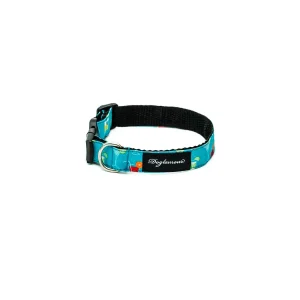 Collar My Happy H0ur!