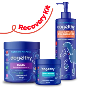 Kit de Recuperación para Perros - Recovery Kit