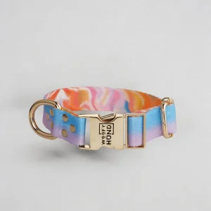Collar para Perro Aurora | Colores Pastel Elegantes