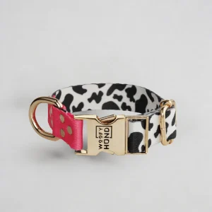 Collar para Perro CandyMix | Colores Dulces y Divertidos