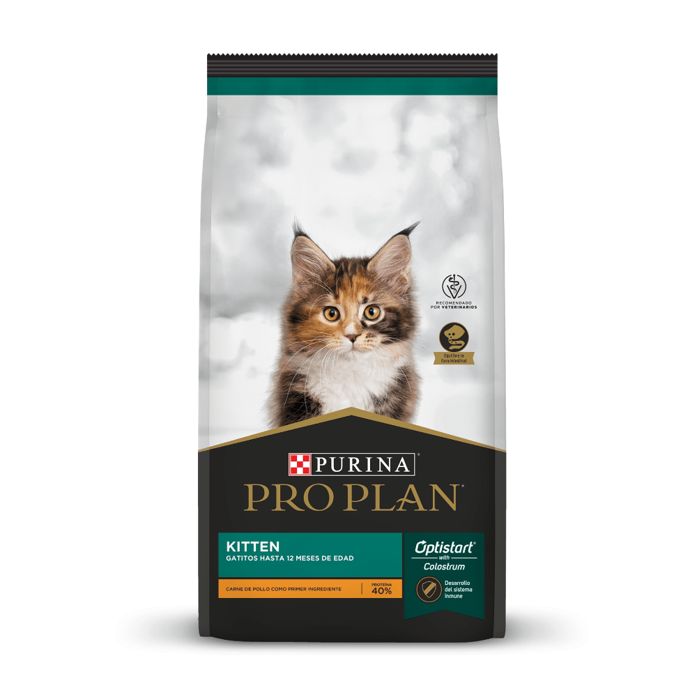 Pro Plan Kitten