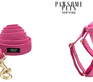 Conjunto Correa y Arnés Step-In - Rosa Rosa