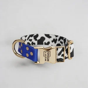 Collar para Perro Blueberry | Diseño Azul Intenso y Elegante