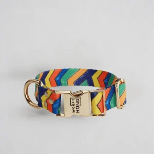 Collar para Perro Festival | Diseño Festivo y Colorido
