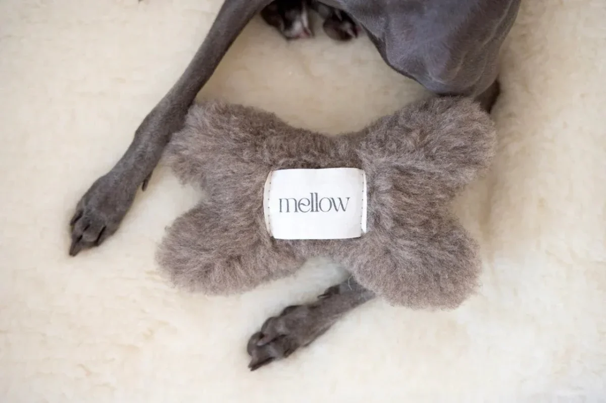 Juguete Hueso para Perros de Lana Natural – Ecológico, Suave y Seguro Beige