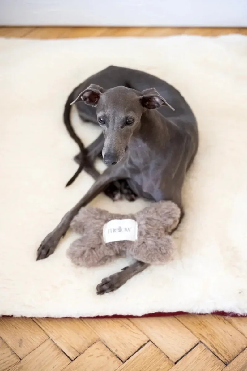 Juguete Hueso para Perros de Lana Natural – Ecológico, Suave y Seguro Beige - Imagen 3