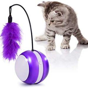 Juguete súper divertido para gatos con pluma