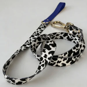 Correa para Perro Blueberry | Elegante y de Secado Rápido 1,1 m