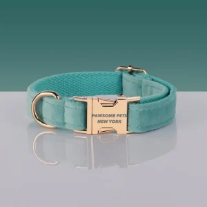 Collar para Perro y Gato Pawsome Pets New York- #21